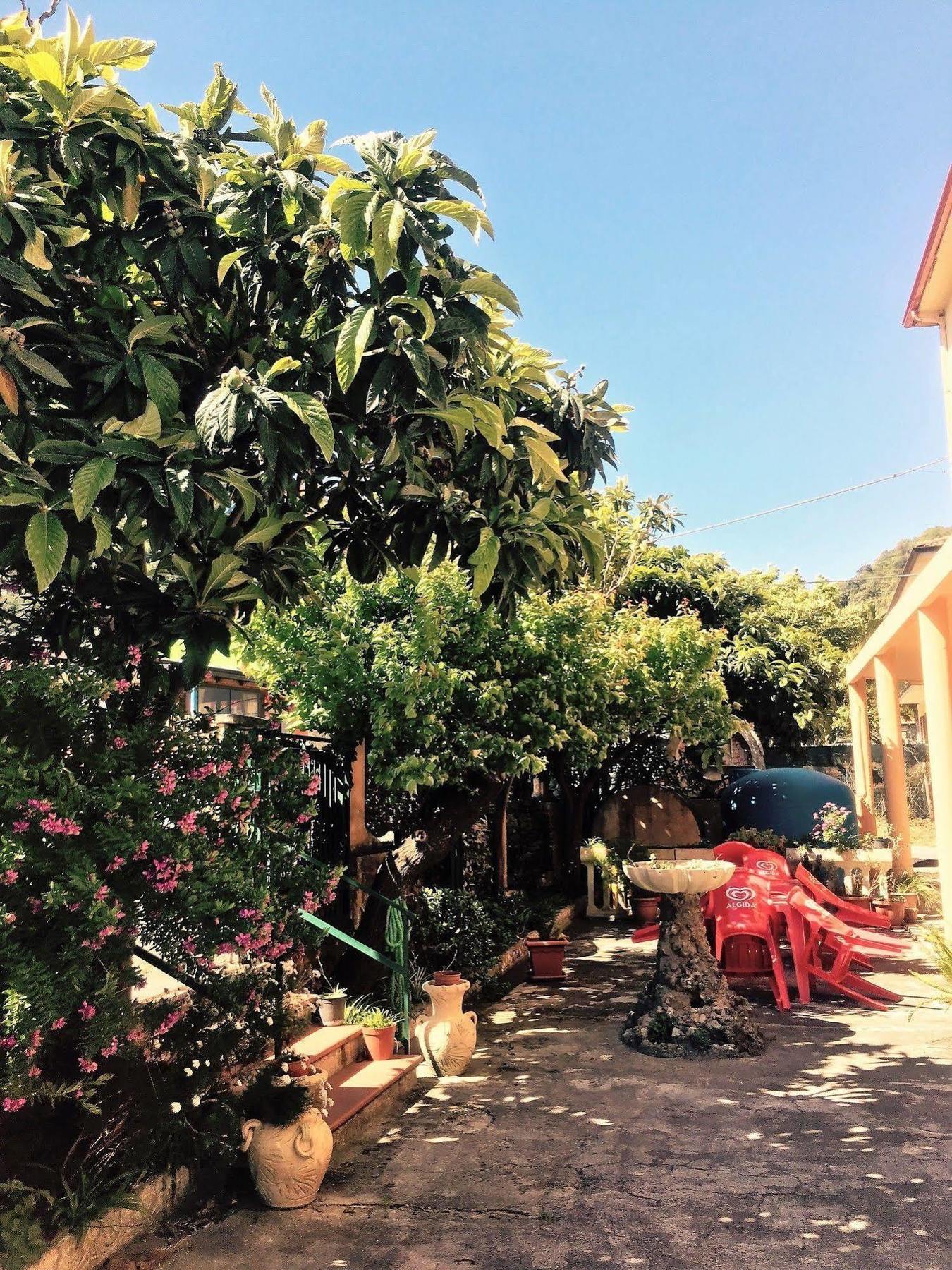 Hotel Ristorante La Mimosa Lamezia Terme Eksteriør billede